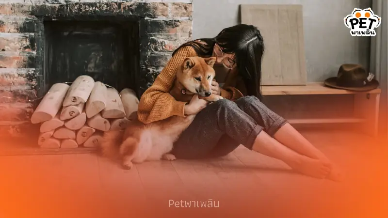 สุนัขรับรู้อารมณ์มนุษย์ และเข้าใจความรู้สึกเรามากกว่าที่คิด สุนัขรับรู้อารมณ์มนุษย์ และเข้าใจความรู้สึกเรามากกว่าที่คิด