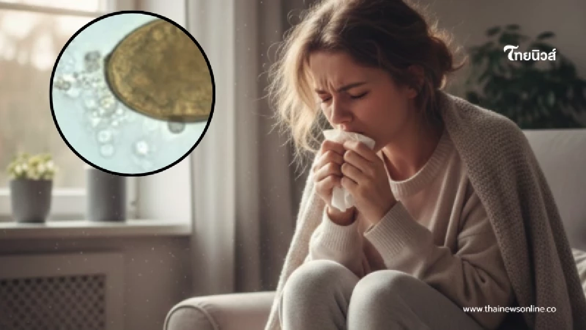 สาว ไอเรื้อรัง 1 ปี นึกว่าฝุ่น pm 2.5 รู้ความจริงตกใจ เกิดจากเมนูโปรด สาว ไอเรื้อรัง 1 ปี นึกว่าฝุ่น pm 2.5 รู้ความจริงตกใจ เกิดจากเมนูโปรด