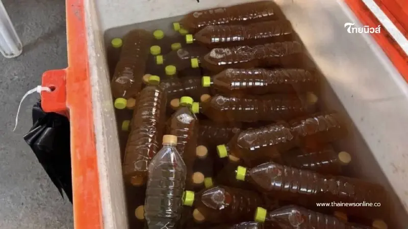 ตำรวจบางนาบุกจับร้านเถื่อน ลักลอบขายน้ำพืชกระท่อมของกลาง 30 ขวด