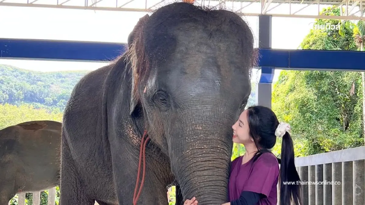 "น้องปีเตอร์" พ้นวิกฤต ผลตรวจ EEHV เป็นลบ เตรียมกลับบ้านพรุ่งนี้ "น้องปีเตอร์" พ้นวิกฤต ผลตรวจ EEHV เป็นลบ เตรียมกลับบ้านพรุ่งนี้