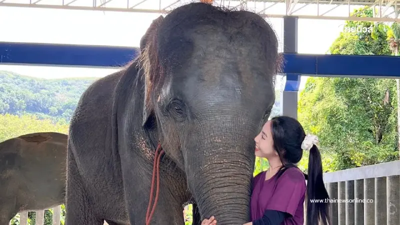 "น้องปีเตอร์" พ้นวิกฤต ผลตรวจ EEHV เป็นลบ เตรียมกลับบ้านพรุ่งนี้ "น้องปีเตอร์" พ้นวิกฤต ผลตรวจ EEHV เป็นลบ เตรียมกลับบ้านพรุ่งนี้