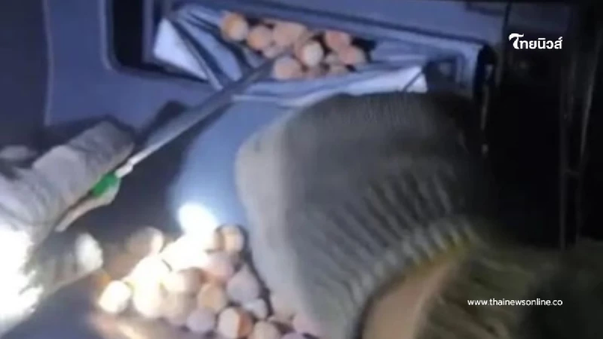 เจ้าของรถเปิดฝากระโปรง เจอเม็ดปริศนา รู้ตัวการยิ่งทำให้ปวดหัว