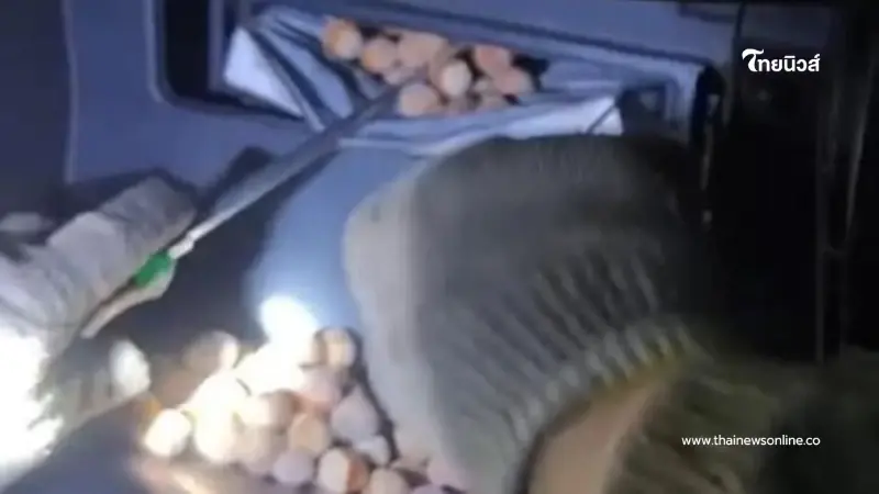 เจ้าของรถเปิดฝากระโปรง เจอเม็ดปริศนา รู้ตัวการยิ่งทำให้ปวดหัว เจ้าของรถเปิดฝากระโปรง เจอเม็ดปริศนา รู้ตัวการยิ่งทำให้ปวดหัว