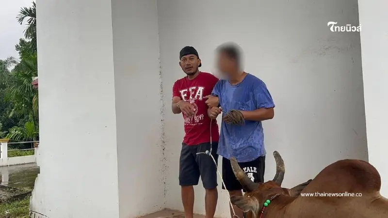 รวบ "เด็กเลี้ยงวัว" เมืองสงขลา พัวพันเครือข่ายค้ายานรก