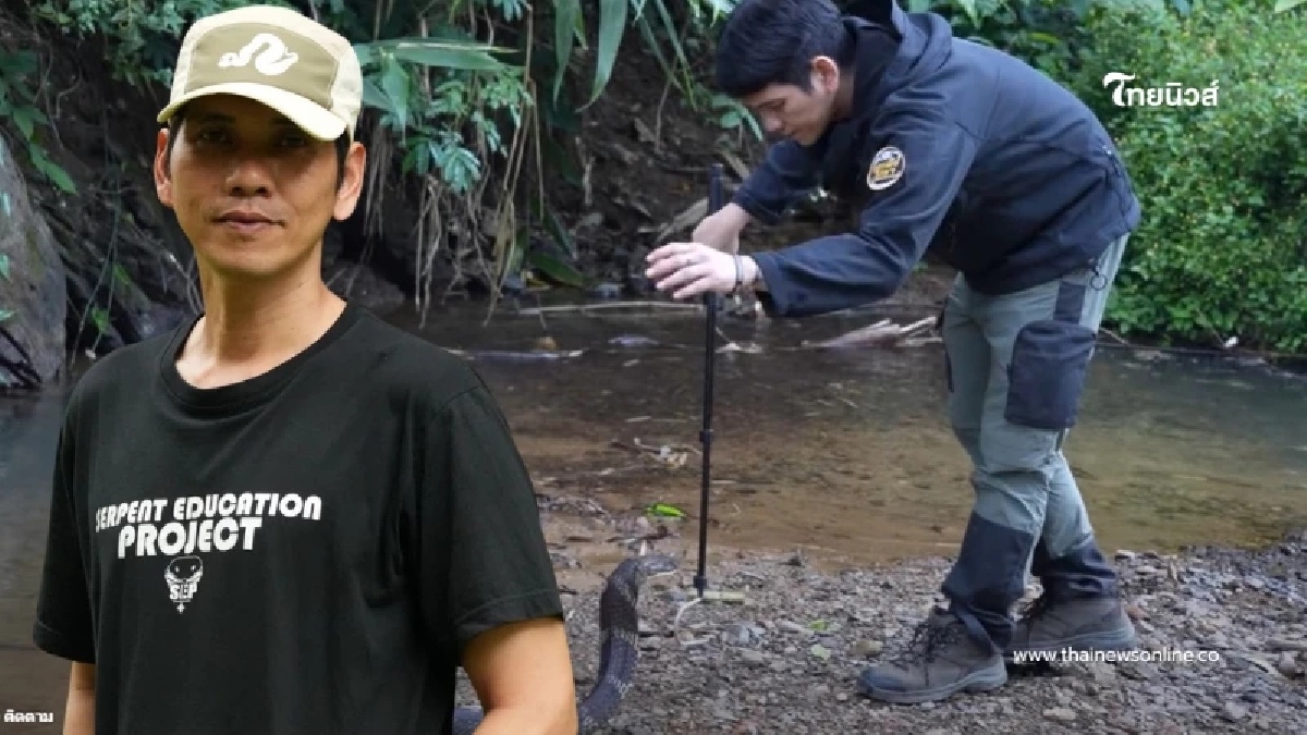 เปิดอาการล่าสุด "นิค อสรพิษวิทยา" หลังถูกจงอาง 3 เมตร กัดเข้าเต็ม ๆ