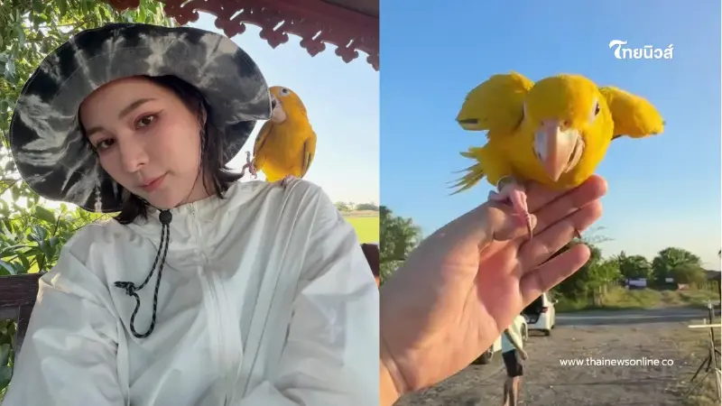 หัวอกคนรักสัตว์ “จันจิ” เผยวินาทีโล่งใจ พาน้องนกฝึกบินได้แล้ว