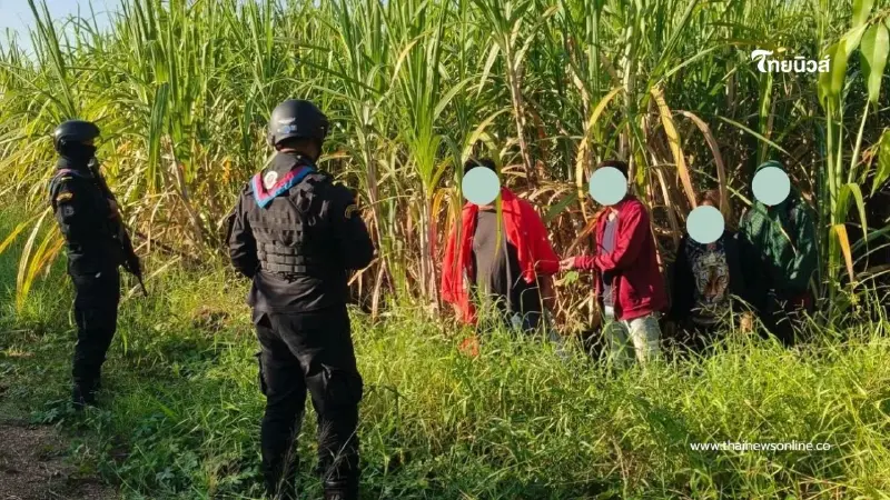จับ 4 คนไทยลอบเข้าเมือง หลังถูกหลอกไปปอยเปตก่อนปล่อยทิ้งชายแดน