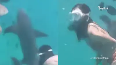สาวเป็นวันมามาก ดำน้ำดูฉลาม ก่อนถูกกัด สุดท้ายทำคนสงสารไม่ลง