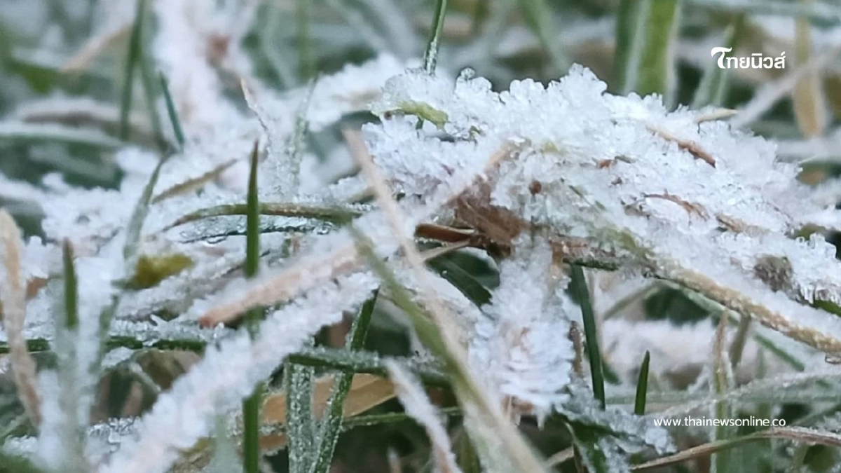 “ดอยอินทนนท์หนาวจัด! เหมยขาบโผล่ 9 วัน นักท่องเที่ยวทะลุ 2 หมื่น”