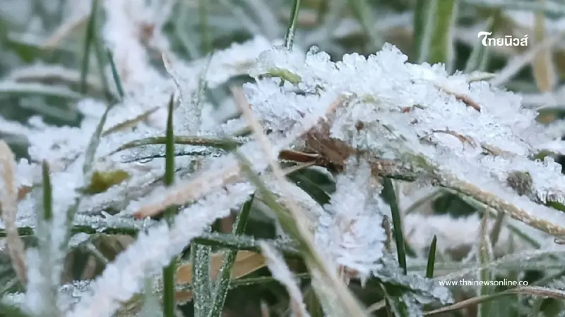 “ดอยอินทนนท์หนาวจัด! เหมยขาบโผล่ 9 วัน นักท่องเที่ยวทะลุ 2 หมื่น”