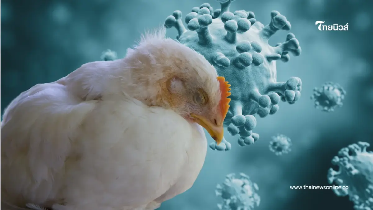 ด่วน! USDA ยืนยันพบไข้หวัดนก H5N1 บุกโคนมรอบใหม่ในสหรัฐฯ ด่วน! USDA ยืนยันพบไข้หวัดนก H5N1 บุกโคนมรอบใหม่ในสหรัฐฯ