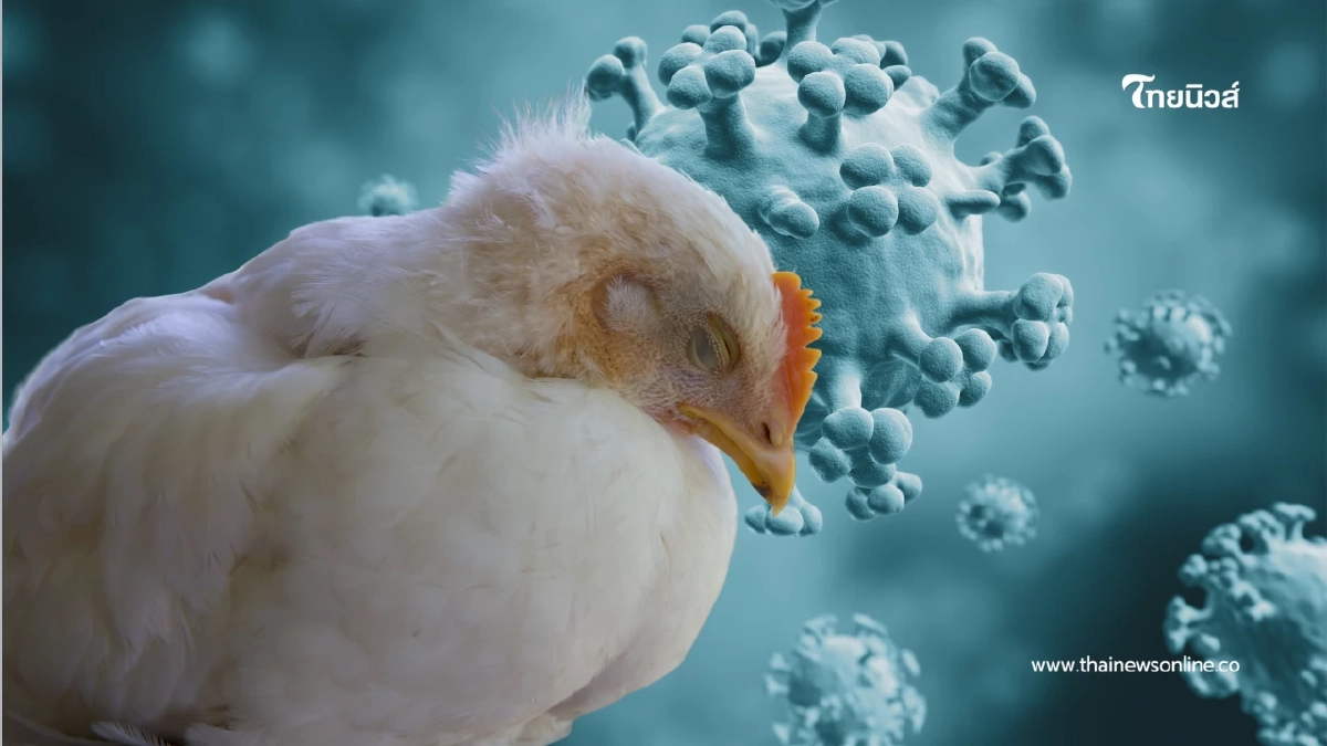 ด่วน! USDA ยืนยันพบไข้หวัดนก H5N1 บุกโคนมรอบใหม่ในสหรัฐฯ