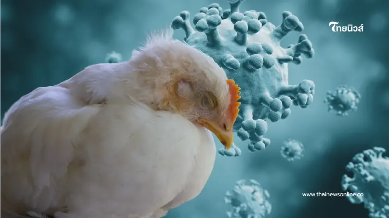 ด่วน! USDA ยืนยันพบไข้หวัดนก H5N1 บุกโคนมรอบใหม่ในสหรัฐฯ
