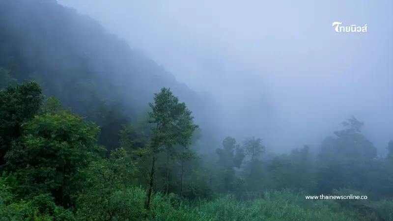 "อากาศเย็นคัมแบ็คทั่วไทย 8 ธ.ค. อุณหภูมิดิ่งลง 1-3 องศา" "อากาศเย็นคัมแบ็คทั่วไทย 8 ธ.ค. อุณหภูมิดิ่งลง 1-3 องศา"