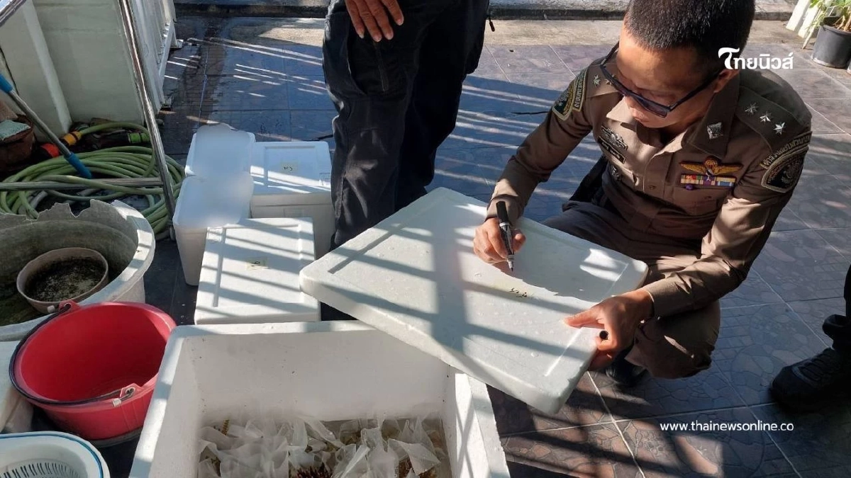 CIB บุกทลายขบวนการค้าปะการังออนไลน์ รวบหนุ่มวัย 33 ซุกของกลาง