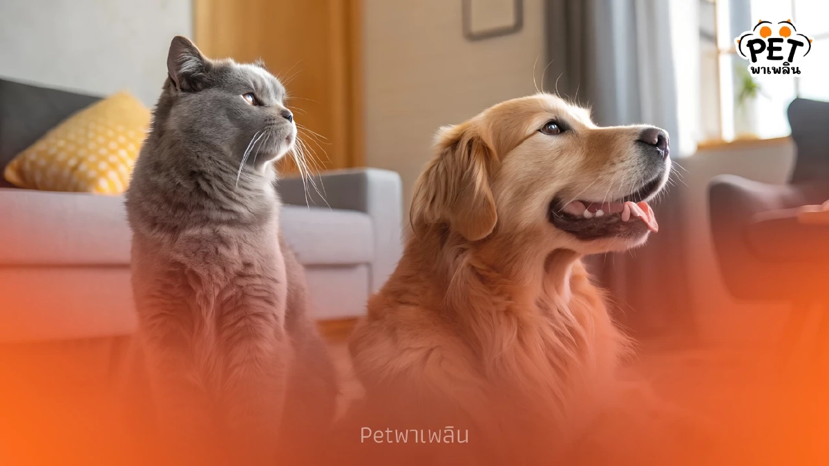 กทม. เตรียมเลื่อนข้อบัญญัติเลี้ยงสัตว์ หลังฟังเสียงปชช.