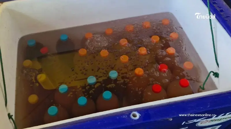 ป.ป.ส. ร่วมกับ สภ.เมืองสุรินทร์ บุกจับ 4 ร้านน้ำกระท่อมผสม ป.ป.ส. ร่วมกับ สภ.เมืองสุรินทร์ บุกจับ 4 ร้านน้ำกระท่อมผสม