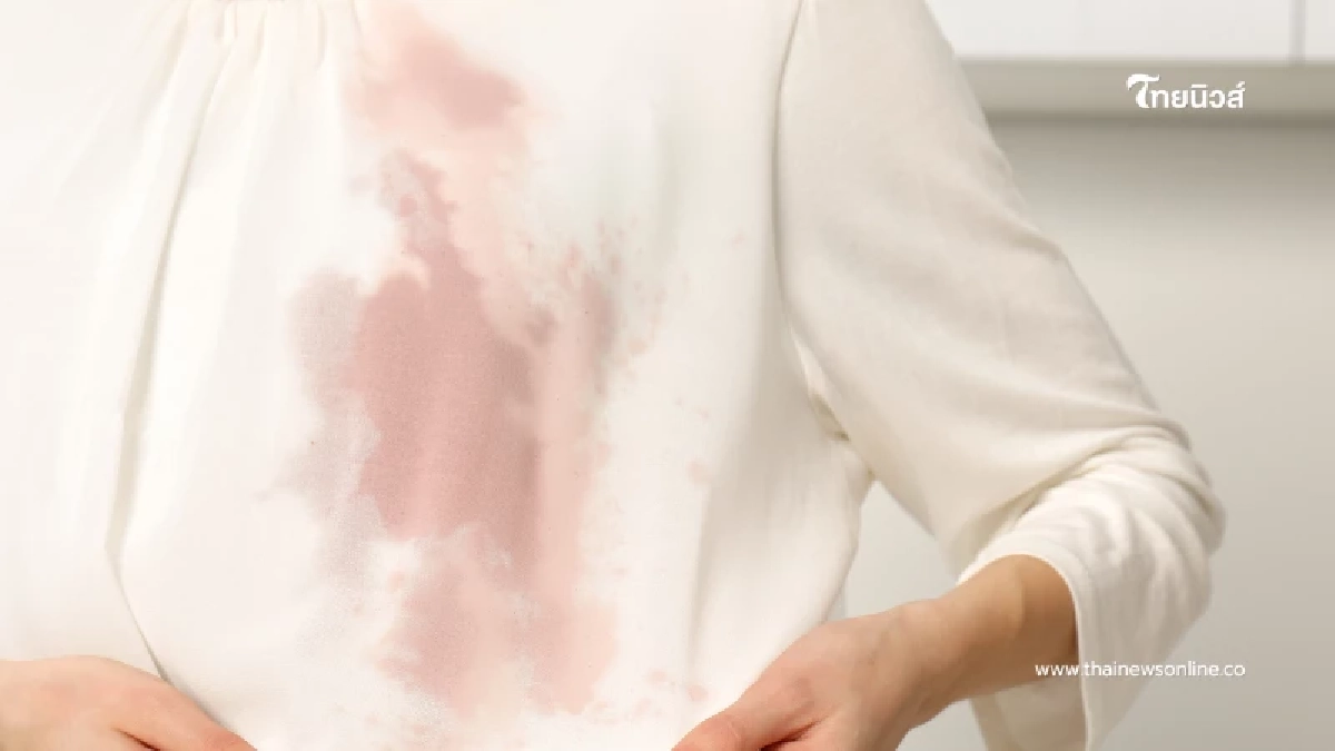 คราบเลือดบนเสื้อผ้า 5 วิธีซักเสื้อผ้าให้เกลี้ยงด้วยของใกล้ตัว คราบเลือดบนเสื้อผ้า 5 วิธีซักเสื้อผ้าให้เกลี้ยงด้วยของใกล้ตัว