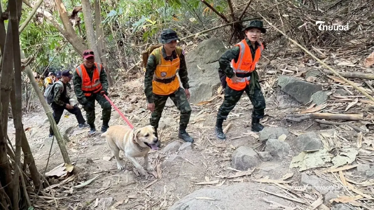 ภารกิจสำเร็จ! ชุดสุนัขค้นหาทบ. พบผู้สูญหายหลังติดป่า 4 วัน 3 คืน