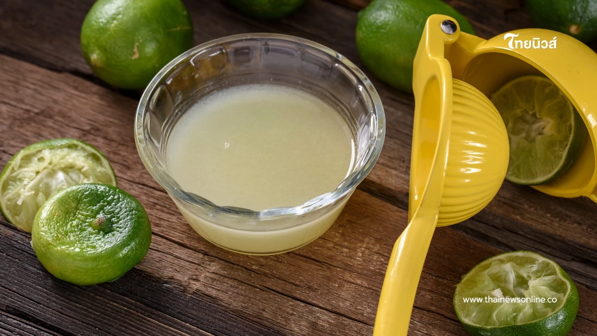 สดชื่นแต่อาจเสี่ยง เปิด 6 กลุ่มคนควรเลี่ยงดื่มน้ำมะนาว สดชื่นแต่อาจเสี่ยง เปิด 6 กลุ่มคนควรเลี่ยงดื่มน้ำมะนาว