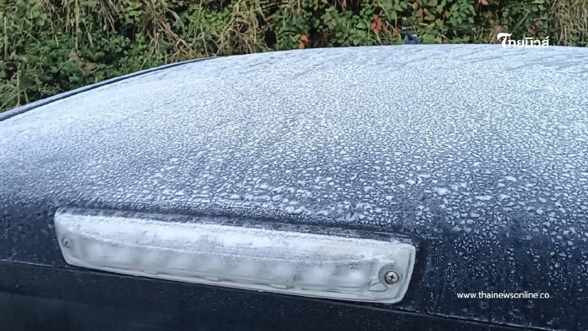 หนาวจัด 4 องศา เหมยขาบกลับมาอีกครั้ง ดอยอินทนนท์เช้านี้