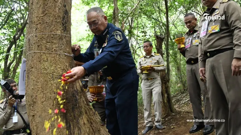 บวงสรวงตัดไม้จันทน์หอม เตรียมงานพระราชพิธีถวายพระเพลิงพระบรมศพ บวงสรวงตัดไม้จันทน์หอม เตรียมงานพระราชพิธีถวายพระเพลิงพระบรมศพ