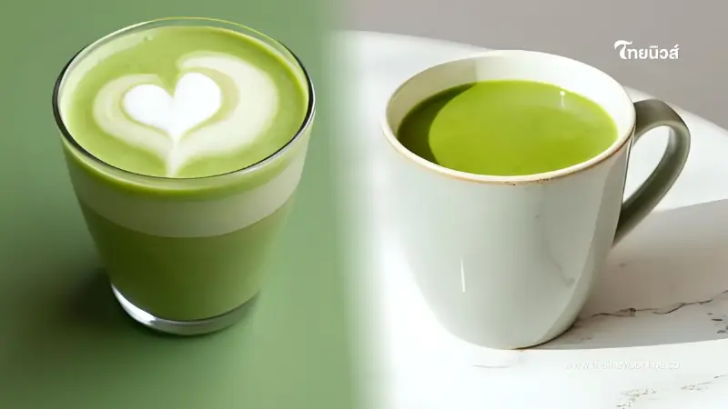 เปิดเคล็ดลับ “ดื่มชาเขียวให้ได้ประโยชน์” ดื่มให้ถูกได้ผลดี เปิดเคล็ดลับ “ดื่มชาเขียวให้ได้ประโยชน์” ดื่มให้ถูกได้ผลดี
