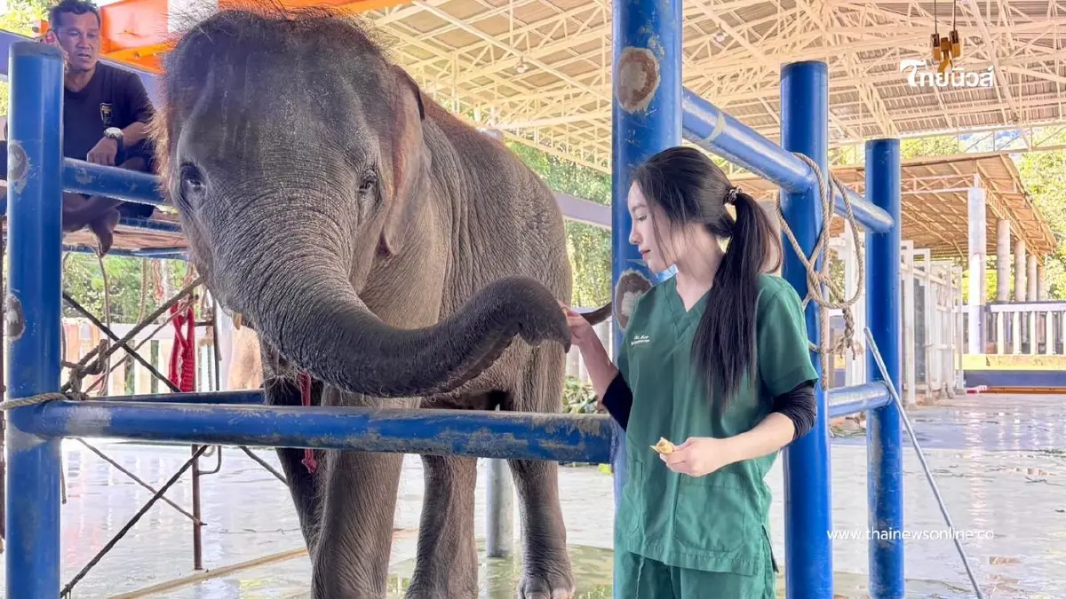 น้องปีเตอร์ คนไข้วัย 9 ขวบของหมอ ติดเชื้อเฮอร์ปีส์ไวรัส