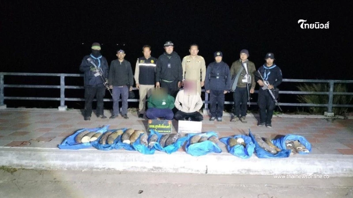 รวบยกแก๊ง ทหารพราน สกัดจับขบวนการค้างาช้าง คาหนังคาเขา