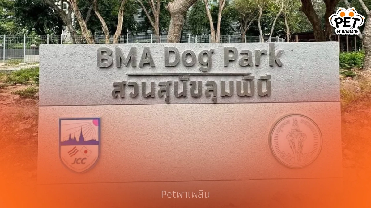 ทาสหมาเฮ! สวนลุมฯ เปิดโซนใหม่เข้าฟรี พื้นที่กว้าง 2 ไร่ 7 ก.พ. นี้