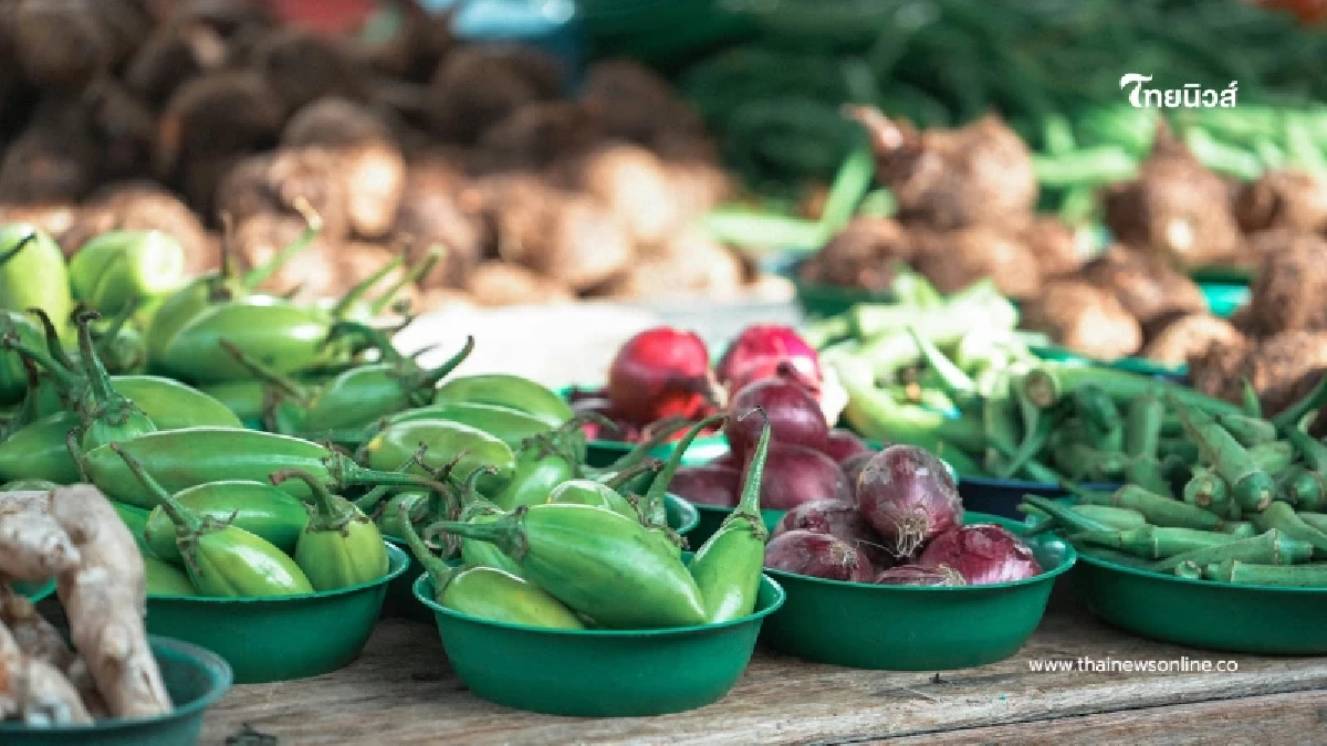 ระวัง กินผักสดล้างไม่สะอาด อาจพาพยาธิตืดหมู ขึ้นสมองได้ ระวัง กินผักสดล้างไม่สะอาด อาจพาพยาธิตืดหมู ขึ้นสมองได้