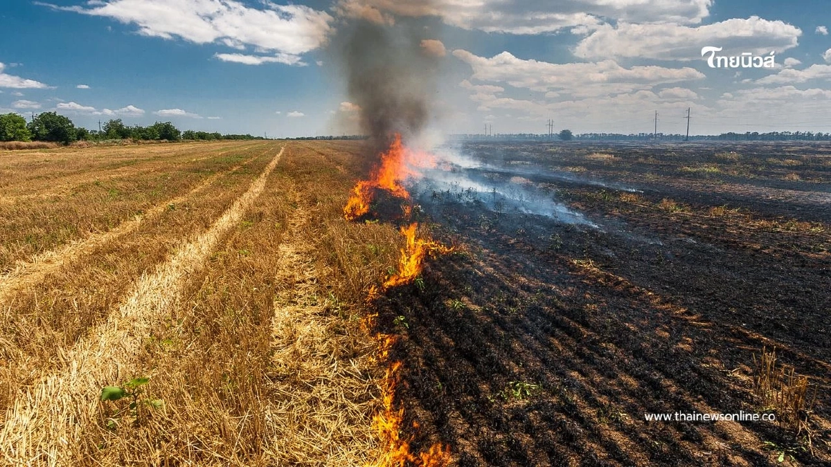 ปภ. รับนโยบายรัฐ คุมเข้มการเผาในพื้นที่เกษตร แก้ปัญหา PM2.5 ปภ. รับนโยบายรัฐ คุมเข้มการเผาในพื้นที่เกษตร แก้ปัญหา PM2.5