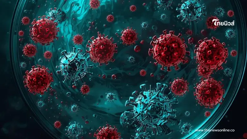 รู้ทันอาการ "ไวรัสนิปาห์" คล้ายไข้หวัด สู่ภาวะแทรกซ้อนถึงดับ