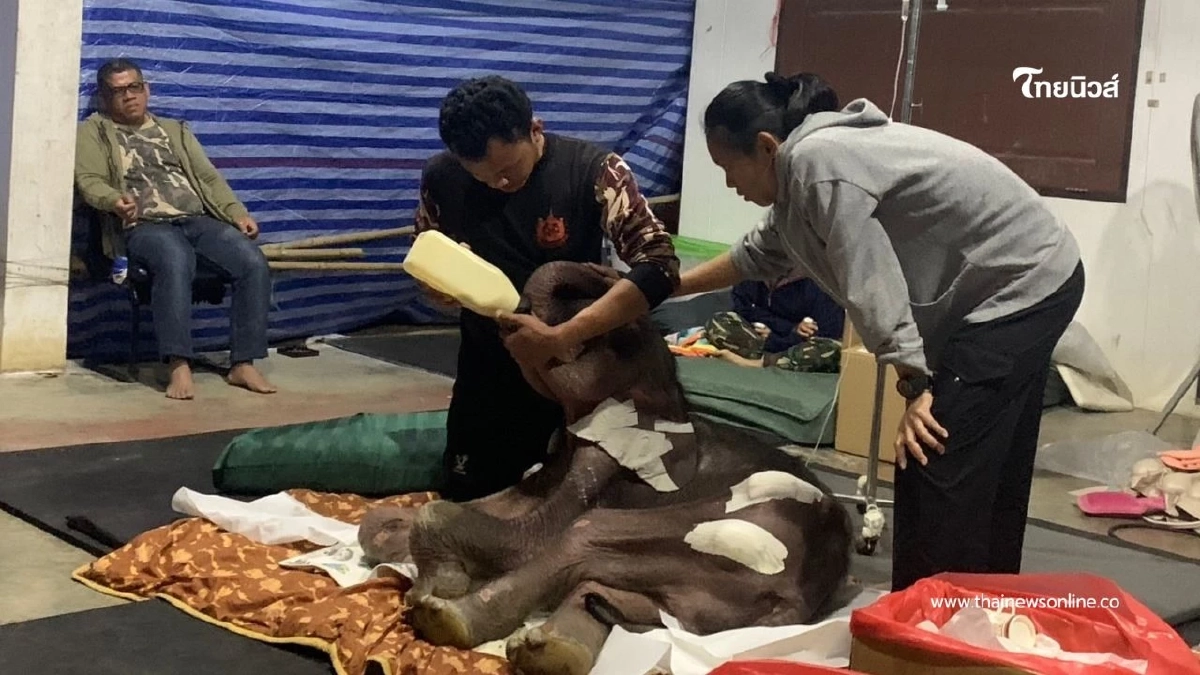 อัพเดทความคืบหน้า "น้องข้าวต้ม" ต้องเฝ้าระวังตลอด 24 ชั่วโมง