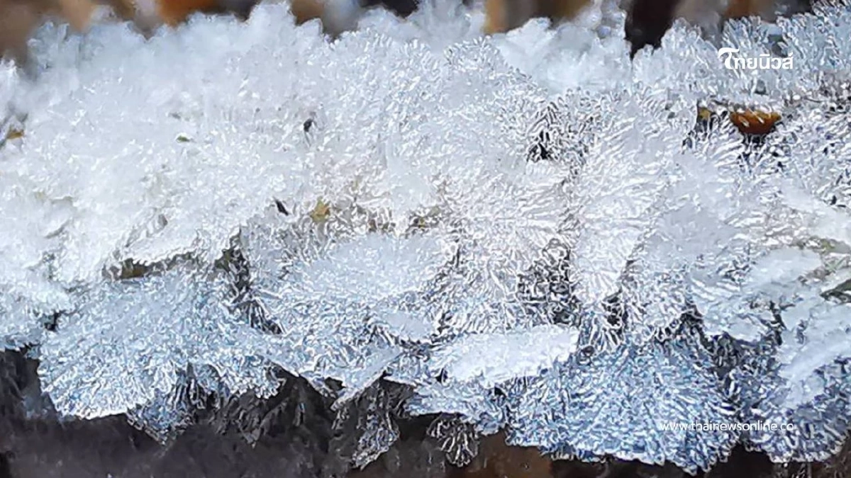 หนาวจัดสะกดสายตา! "เหมยขาบ–แม่คะนิ้ง" ขาวโพลนยอดดอยอินทนนท์