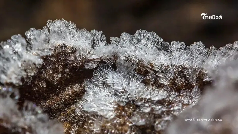 หนาวจัดรับศักราชใหม่! ภูหินร่องกล้าเกิด "แม่คะนิ้ง" ต่อเนื่อง