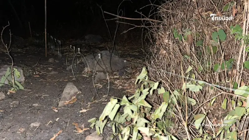 เคสแรกปี 2569 อช.เอราวัณสกัดไฟป่า พบหลักฐานพรานโหดจุดไฟล่าสัตว์ เคสแรกปี 2569 อช.เอราวัณสกัดไฟป่า พบหลักฐานพรานโหดจุดไฟล่าสัตว์