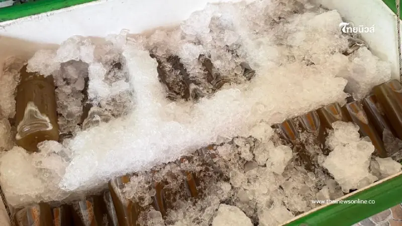 ฝ่ายปกครองเมืองนนทบุรี บุกจับร้านลอบขายน้ำกระท่อมผสมยาแก้ไอ