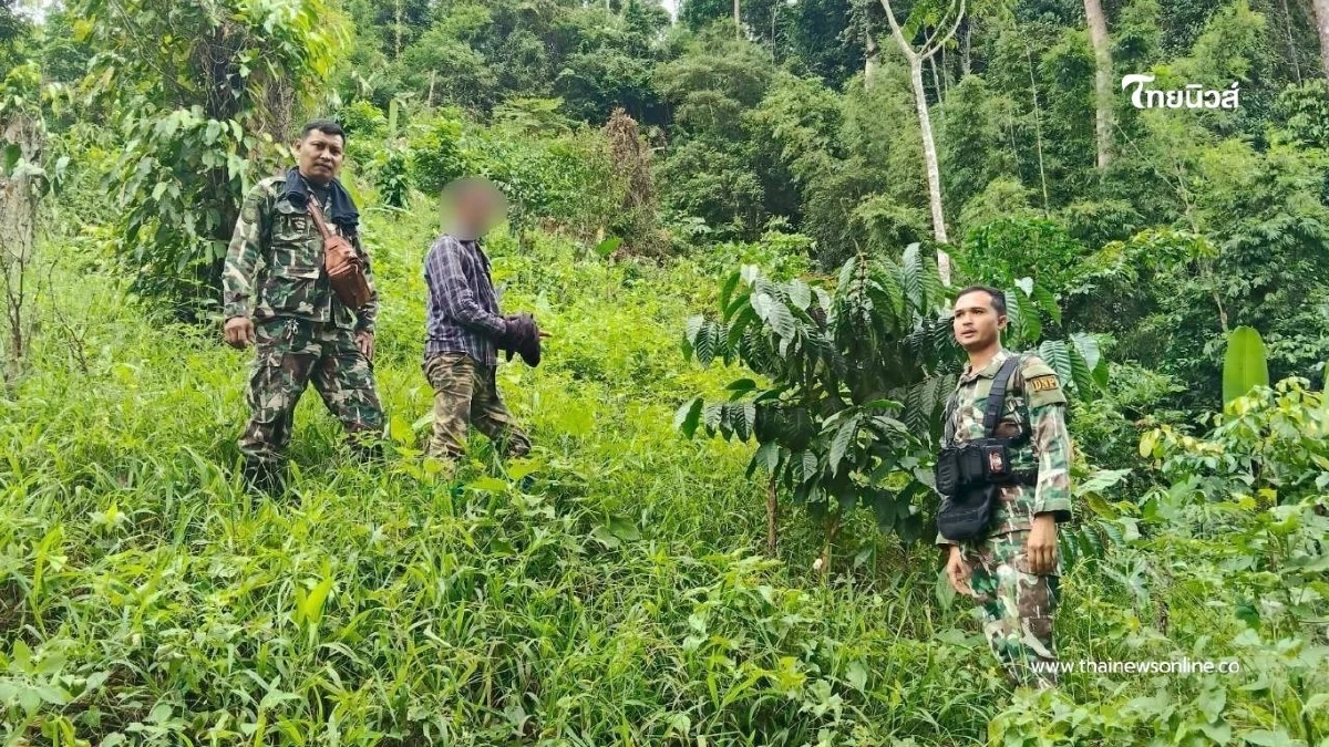 สบอ.3 (เพชรบุรี) ลุยปราบบุกรุกป่า จับ 2 ผู้ต้องหา พบทำผิดซ้ำซาก