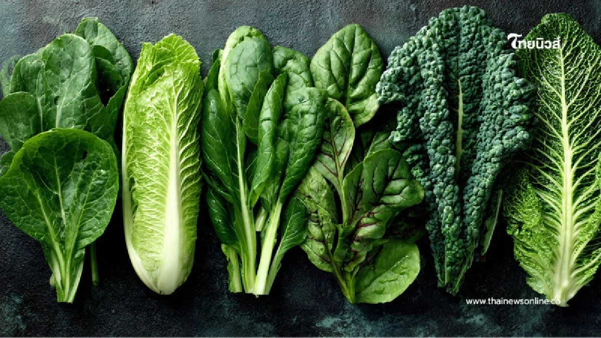 ทำความรู้จักผัก 5 ชนิด คือเกราะป้องกันชั้นดีจากโรคร้าย