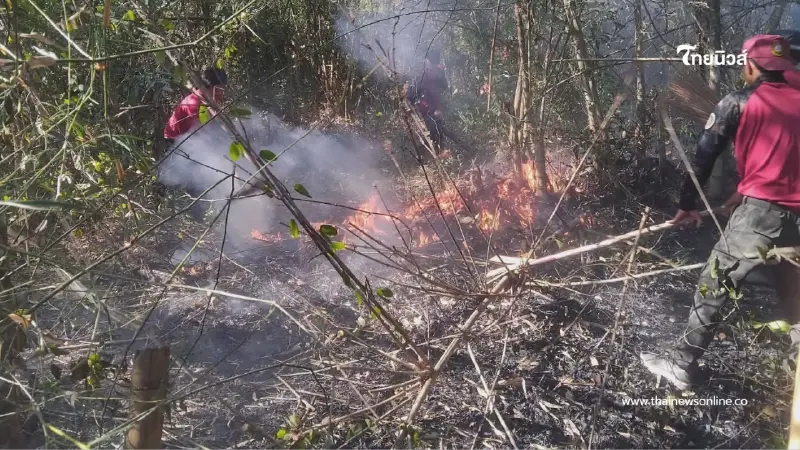 นาทีระทึก เจ้าหน้าที่คุมไฟป่าบ้านวังน้ำขุ่นสำเร็จ เสียหาย 15 ไร่