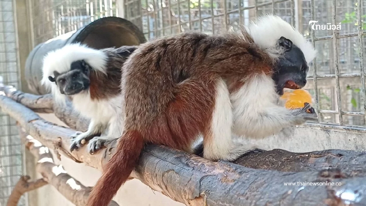 ประชาชนแห่เช็คอินสถานีเพาะเลี้ยงสัตว์ป่าเขาสน จ.ราชบุรี