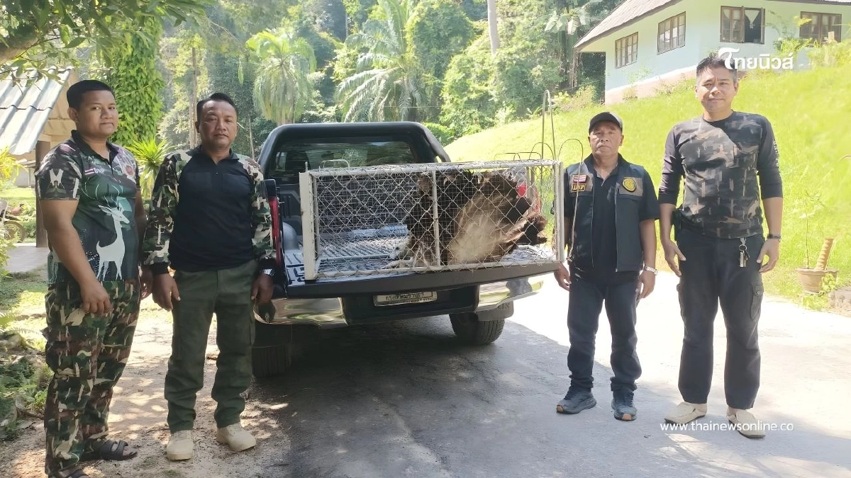 ศบอ.6 สงขลา เร่งช่วยเหลือ "แร้งสีน้ำตาลหิมาลัย" บาดเจ็บ