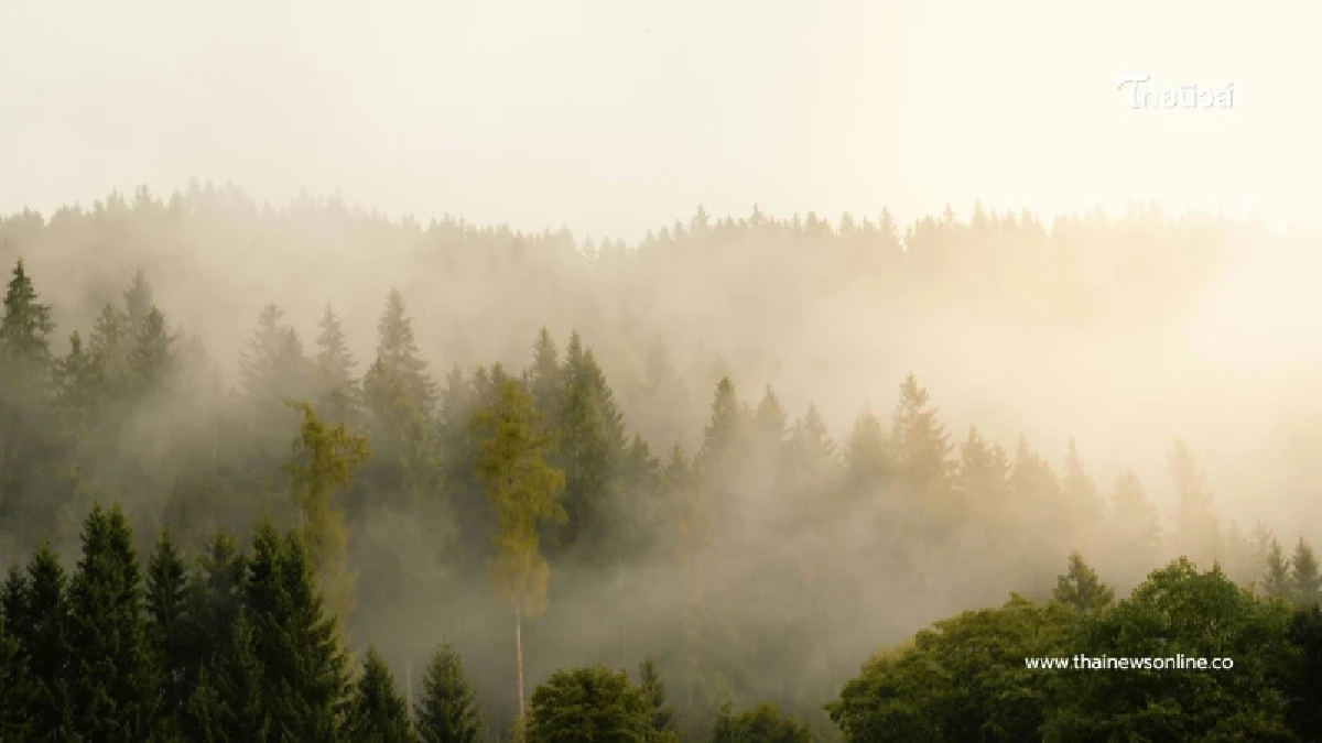 เช็ก 2 พื้นที่ ค่าฝุ่น PM.2.5 พุ่งเกินค่ามาตรฐาน มีผลกระทบกับสุขภาพ