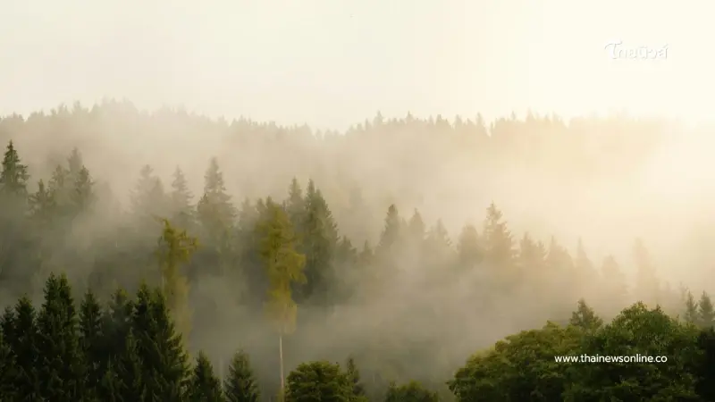 เช็ก 2 พื้นที่ ค่าฝุ่น PM.2.5 พุ่งเกินค่ามาตรฐาน มีผลกระทบกับสุขภาพ