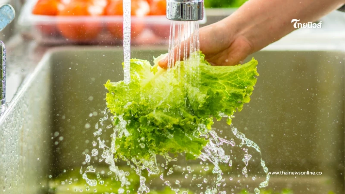 เปิดวิธีล้างผัก 5 นาที สะอาดเกลี้ยง และผักยังกรอบนานอีกด้วย