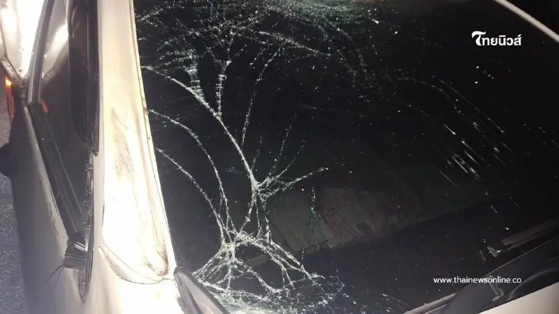 รถยนต์ชนกระทิงป่ากลางดึก บนเส้นทางเขาใหญ่ รถเสียหายหนัก