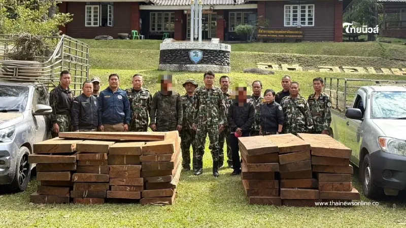 ปิดล้อม! ปฏิบัติการดักซุ่มรวบขบวนการค้าไม้ประดู่ ยึดของกลาง