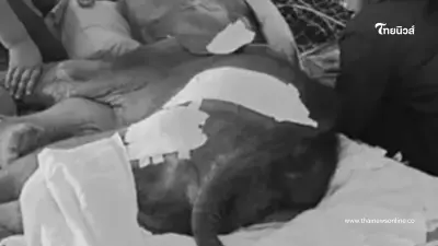 เผยสาเหตุ "น้องข้าวต้ม" กลับดาว หลังต่อสู้มานานกว่า 3 เดือน