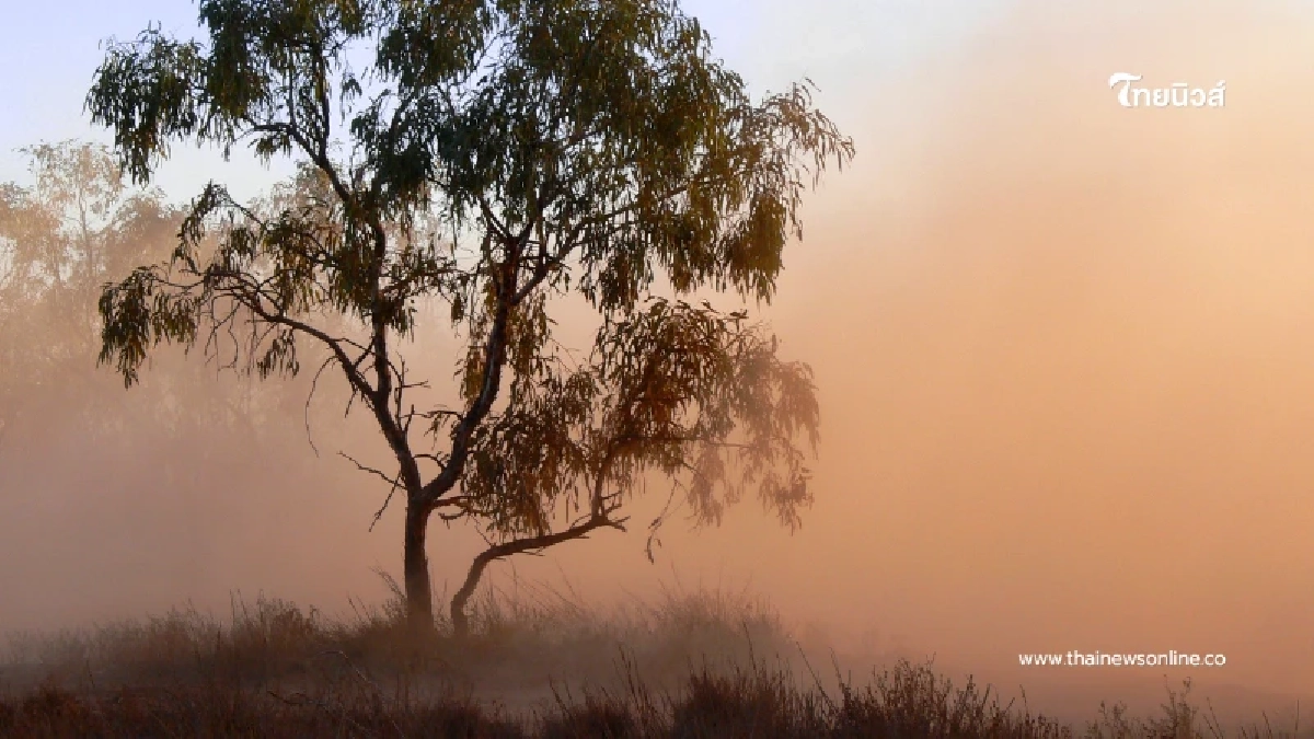 ฝุ่น PM2.5 พุ่งปรี๊ด พบ 27 พื้นที่เสี่ยงค่าเกินมาตรฐาน แนะสวมหน้ากาก ฝุ่น PM2.5 พุ่งปรี๊ด พบ 27 พื้นที่เสี่ยงค่าเกินมาตรฐาน แนะสวมหน้ากาก